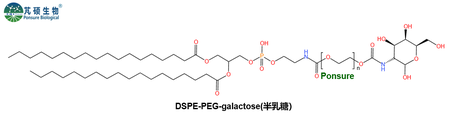 DSPE-PEG-Galactose，磷脂PEG半乳糖